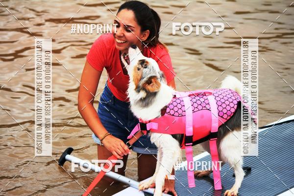 Compra tus fotos del eventoKaluan Trail e Canicross En Fotop