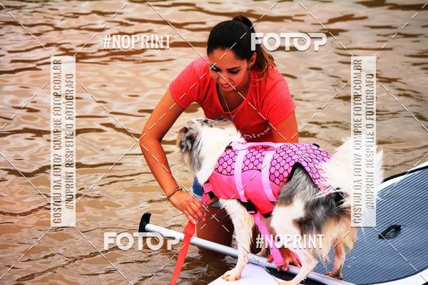 Compra tus fotos del eventoKaluan Trail e Canicross En Fotop