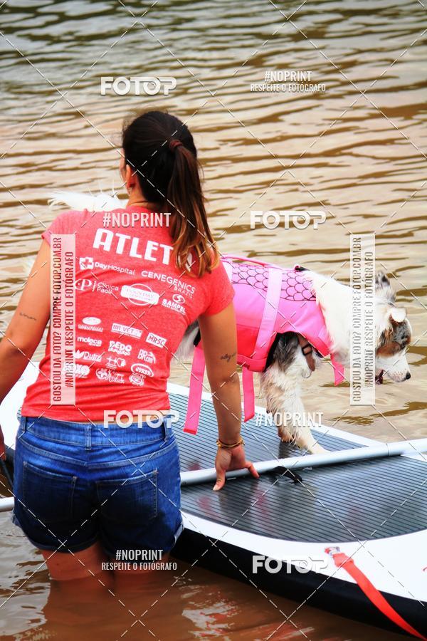 Compra tus fotos del eventoKaluan Trail e Canicross En Fotop