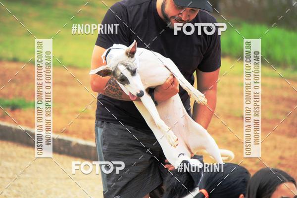 Compra tus fotos del eventoKaluan Trail e Canicross En Fotop