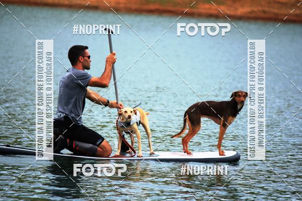 Compra tus fotos del eventoKaluan Trail e Canicross En Fotop