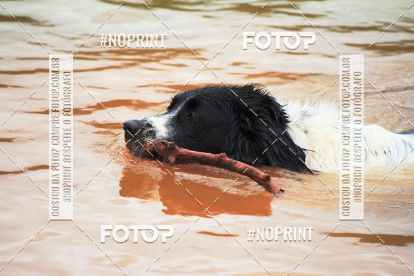 Compra tus fotos del eventoKaluan Trail e Canicross En Fotop