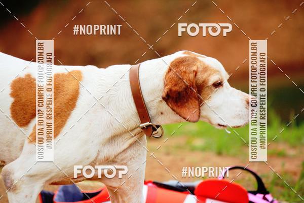 Compra tus fotos del eventoKaluan Trail e Canicross En Fotop