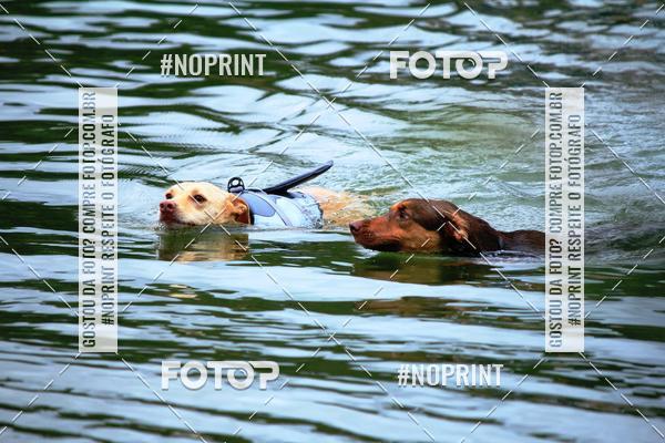 Compra tus fotos del eventoKaluan Trail e Canicross En Fotop