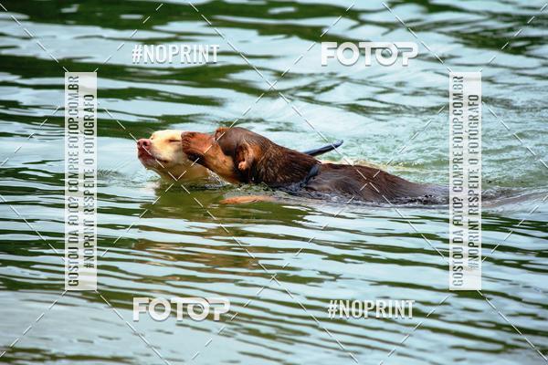 Compra tus fotos del eventoKaluan Trail e Canicross En Fotop