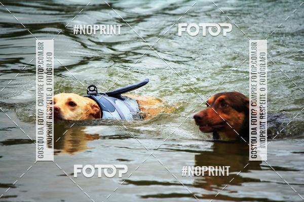 Compra tus fotos del eventoKaluan Trail e Canicross En Fotop