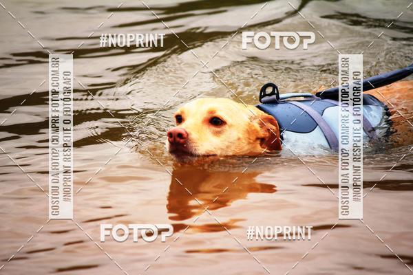 Compra tus fotos del eventoKaluan Trail e Canicross En Fotop
