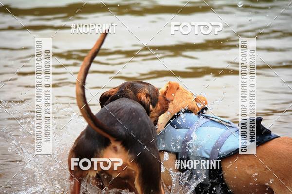 Compra tus fotos del eventoKaluan Trail e Canicross En Fotop