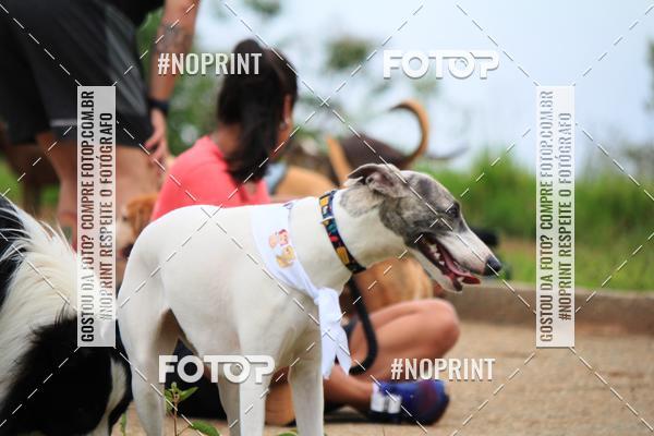 Compre as suas fotos do eventoKaluan� Trail e Canicross - Irisphoto no Fotop