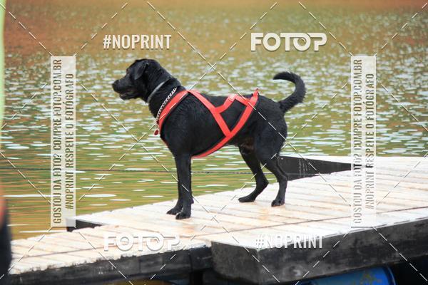 Compre as suas fotos do eventoKaluan� Trail e Canicross - Irisphoto no Fotop