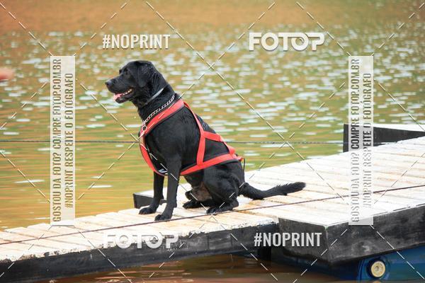 Compre as suas fotos do eventoKaluan� Trail e Canicross - Irisphoto no Fotop