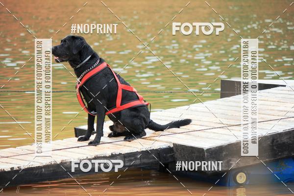 Compre as suas fotos do eventoKaluan� Trail e Canicross - Irisphoto no Fotop