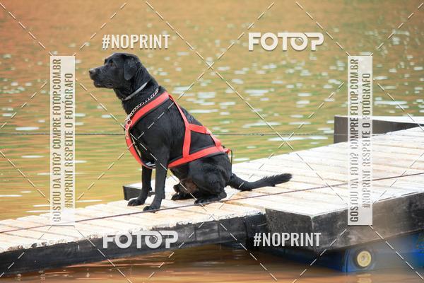 Compre as suas fotos do eventoKaluan� Trail e Canicross - Irisphoto no Fotop