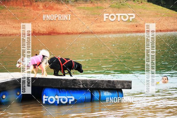 Compre as suas fotos do eventoKaluan� Trail e Canicross - Irisphoto no Fotop