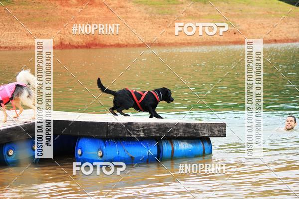 Compre as suas fotos do eventoKaluan� Trail e Canicross - Irisphoto no Fotop