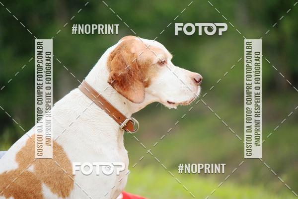 Compre as suas fotos do eventoKaluan� Trail e Canicross - Irisphoto no Fotop