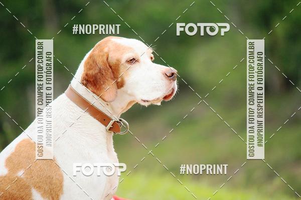 Compre as suas fotos do eventoKaluan� Trail e Canicross - Irisphoto no Fotop