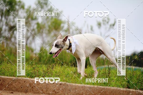 Compre as suas fotos do eventoKaluan� Trail e Canicross - Irisphoto no Fotop