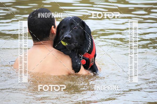 Compre as suas fotos do eventoKaluan� Trail e Canicross - Irisphoto no Fotop