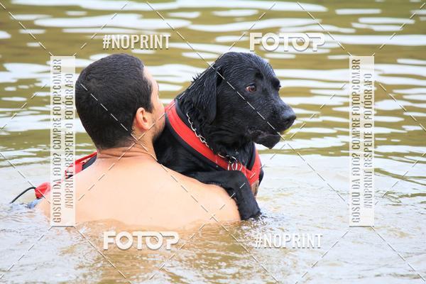 Compre as suas fotos do eventoKaluan� Trail e Canicross - Irisphoto no Fotop