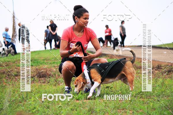Compre as suas fotos do eventoKaluan� Trail e Canicross - Irisphoto no Fotop