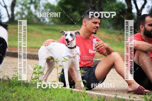 Compre as suas fotos do eventoKaluan� Trail e Canicross - Irisphoto no Fotop