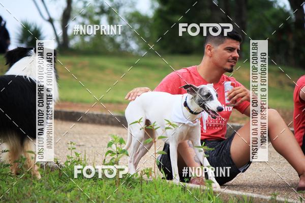 Compre as suas fotos do eventoKaluan� Trail e Canicross - Irisphoto no Fotop