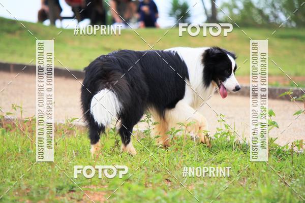 Compre as suas fotos do eventoKaluan� Trail e Canicross - Irisphoto no Fotop