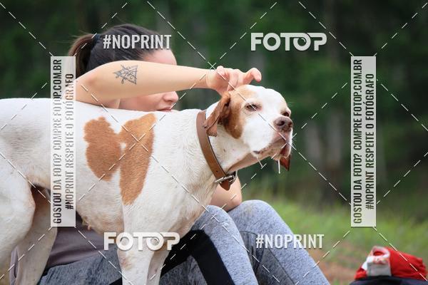 Compre as suas fotos do eventoKaluan� Trail e Canicross - Irisphoto no Fotop