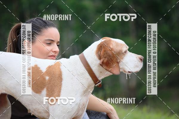 Compre as suas fotos do eventoKaluan� Trail e Canicross - Irisphoto no Fotop