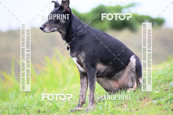 Compre as suas fotos do eventoKaluan� Trail e Canicross - Irisphoto no Fotop