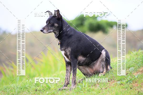 Achetez vos photos de l'�v�nementKaluan� Trail e Canicross - Irisphoto sur Fotop