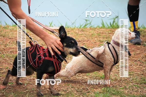 Achetez vos photos de l'�v�nementKaluan� Trail e Canicross - Irisphoto sur Fotop