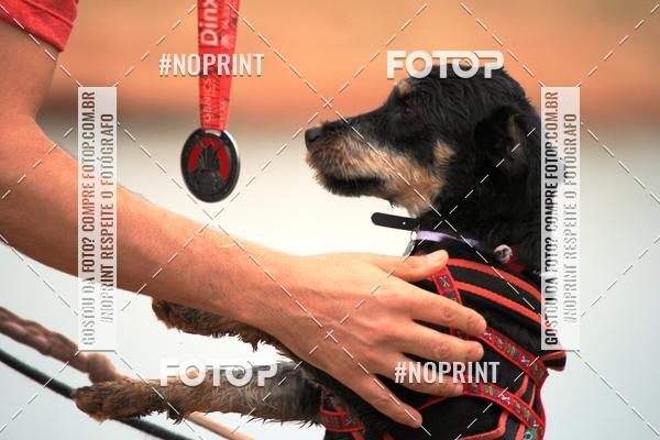 Achetez vos photos de l'�v�nementKaluan� Trail e Canicross - Irisphoto sur Fotop