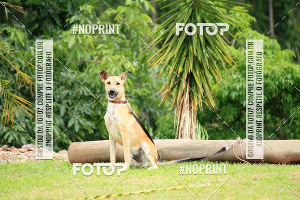 Achetez vos photos de l'�v�nementKaluan� Trail e Canicross - Irisphoto sur Fotop