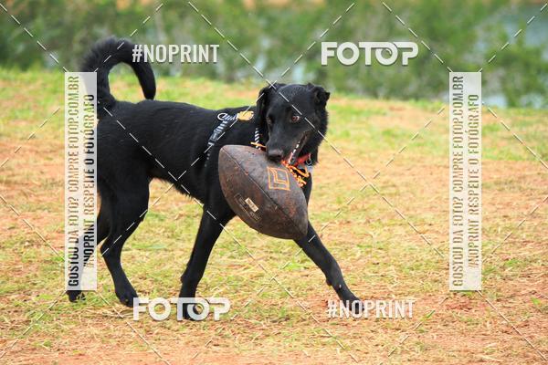 Achetez vos photos de l'�v�nementKaluan� Trail e Canicross - Irisphoto sur Fotop