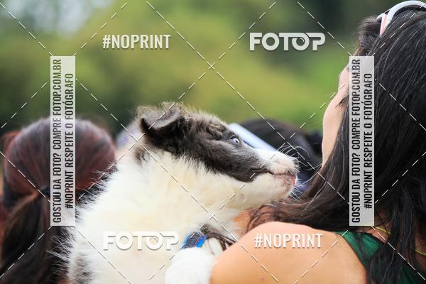 Achetez vos photos de l'�v�nementKaluan� Trail e Canicross - Irisphoto sur Fotop