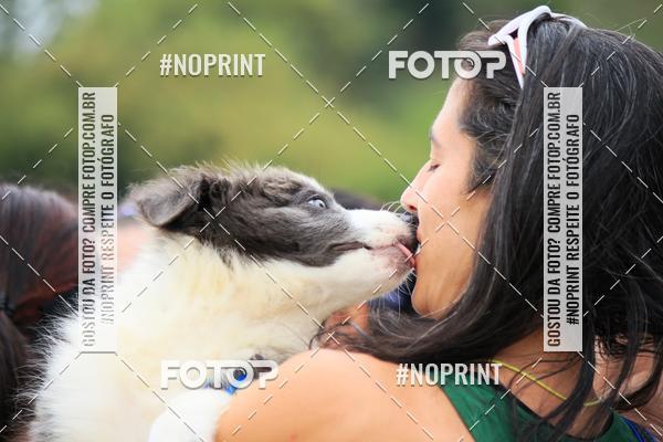 Achetez vos photos de l'�v�nementKaluan� Trail e Canicross - Irisphoto sur Fotop