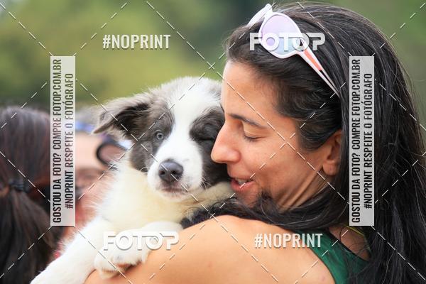 Achetez vos photos de l'�v�nementKaluan� Trail e Canicross - Irisphoto sur Fotop