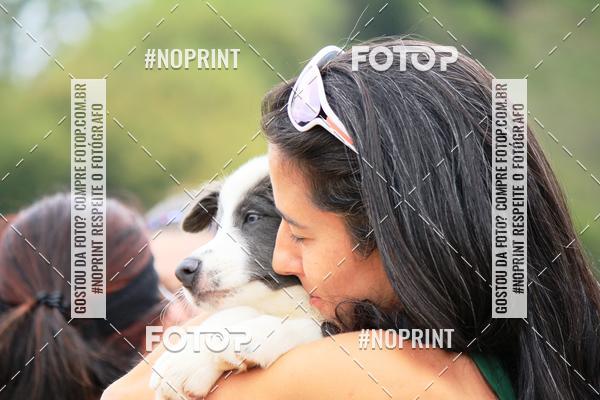 Achetez vos photos de l'�v�nementKaluan� Trail e Canicross - Irisphoto sur Fotop