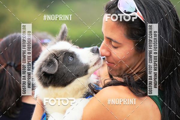 Achetez vos photos de l'�v�nementKaluan� Trail e Canicross - Irisphoto sur Fotop