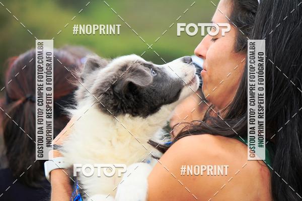 Achetez vos photos de l'�v�nementKaluan� Trail e Canicross - Irisphoto sur Fotop