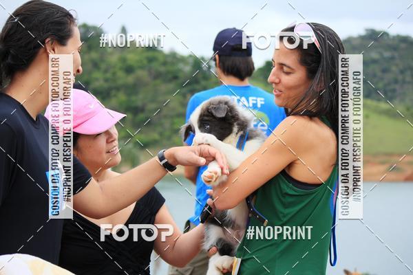 Achetez vos photos de l'�v�nementKaluan� Trail e Canicross - Irisphoto sur Fotop