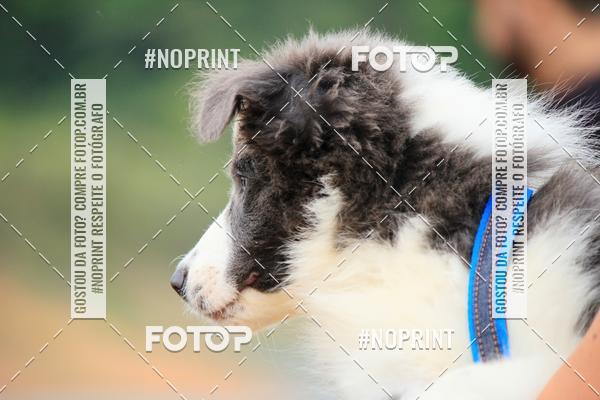 Achetez vos photos de l'�v�nementKaluan� Trail e Canicross - Irisphoto sur Fotop