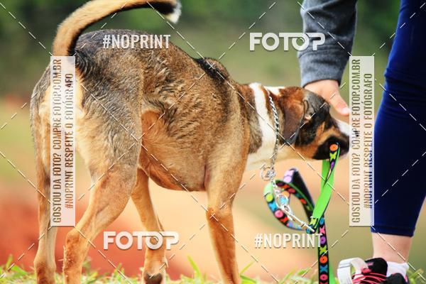 Achetez vos photos de l'�v�nementKaluan� Trail e Canicross - Irisphoto sur Fotop