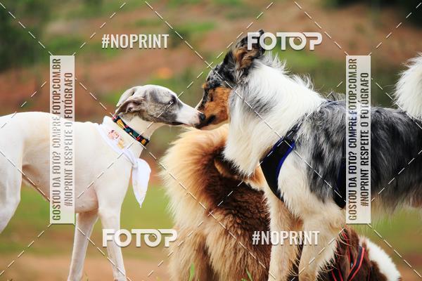 Achetez vos photos de l'�v�nementKaluan� Trail e Canicross - Irisphoto sur Fotop