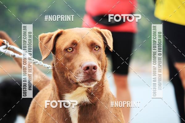 Achetez vos photos de l'�v�nementKaluan� Trail e Canicross - Irisphoto sur Fotop