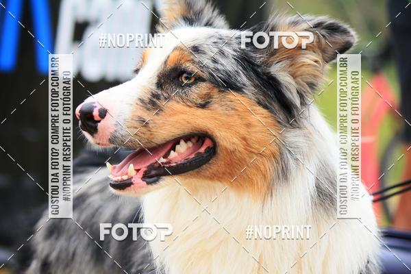 Achetez vos photos de l'�v�nementKaluan� Trail e Canicross - Irisphoto sur Fotop