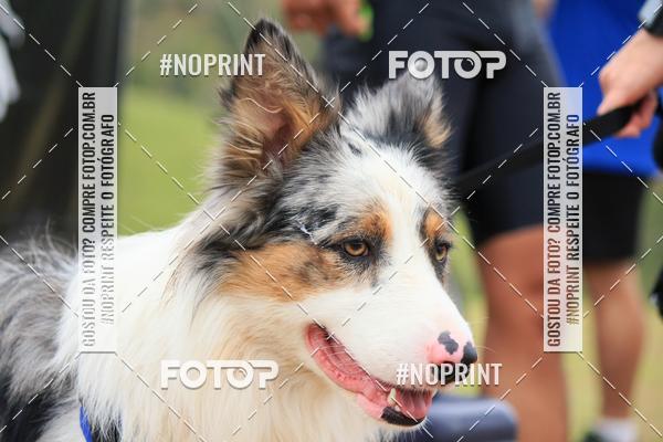 Achetez vos photos de l'�v�nementKaluan� Trail e Canicross - Irisphoto sur Fotop