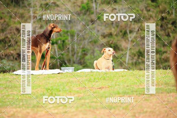 Acquista le foto dell'eventoKaluan� Trail e Canicross - Irisphoto in Fotop